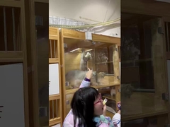 Чище воздуха, счастливее домашние животные: очиститель Берка