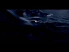 D6S ((с резервуаром)